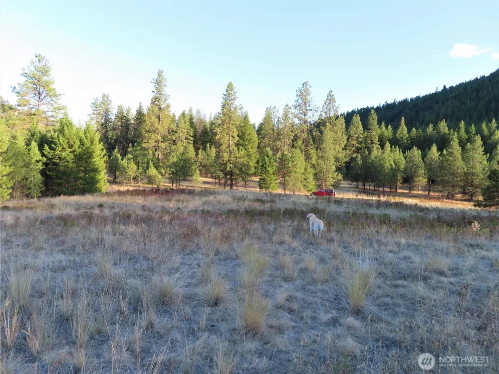 0 Toroda Creek Road Curlew, WA 99118