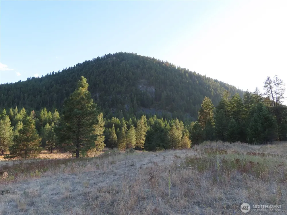 0 Toroda Creek Road Curlew, WA 99118
