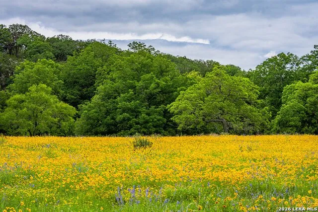 1589 FM 1340 Hunt, TX 78024