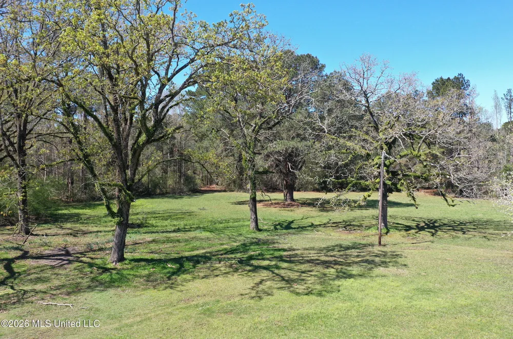 3112 W Highway 98 Summit, MS 39666