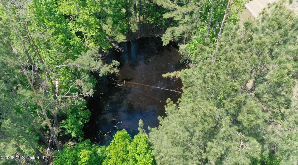 3112 W Highway 98 Summit, MS 39666