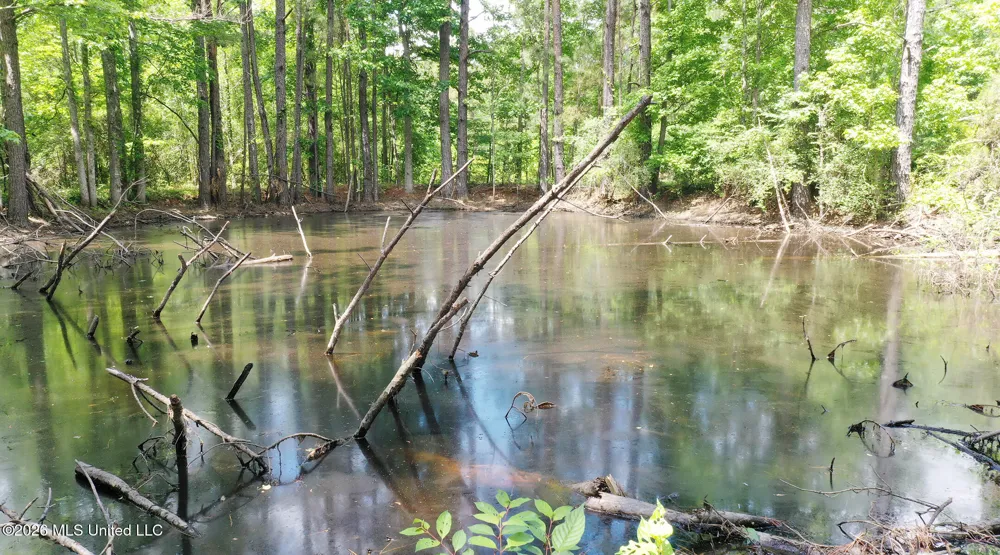 3112 W Highway 98 Summit, MS 39666