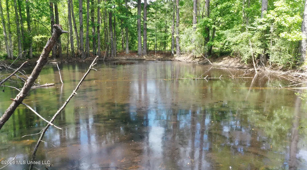 3112 W Highway 98 Summit, MS 39666