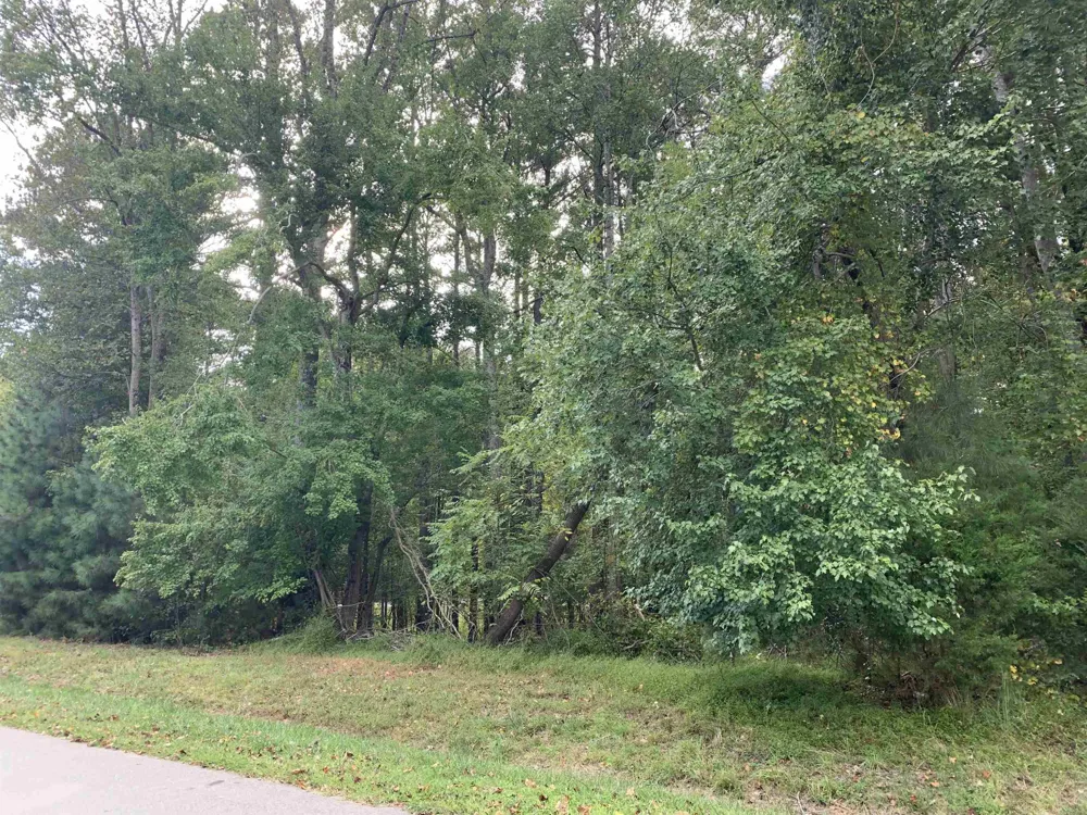 4551 Ashley View Lane Oxford, NC 27565