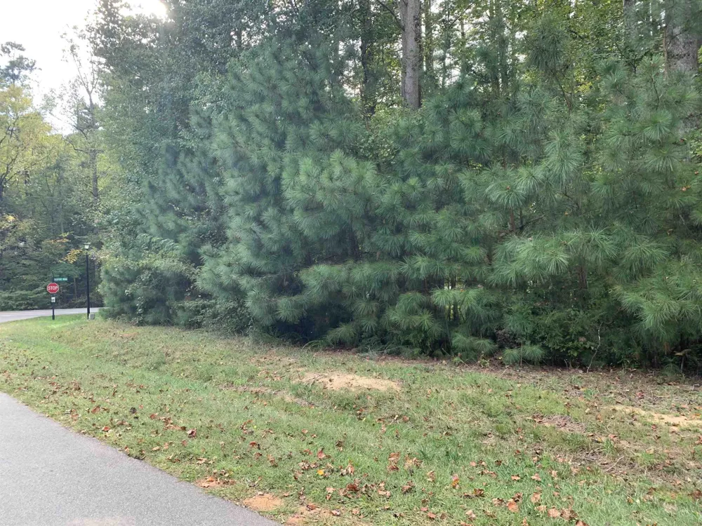 4551 Ashley View Lane Oxford, NC 27565
