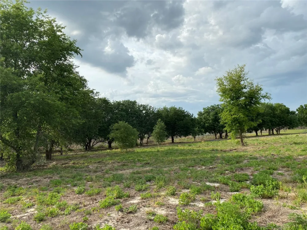 SOUTH O 'BRIEN ROAD Groveland, FL 34736