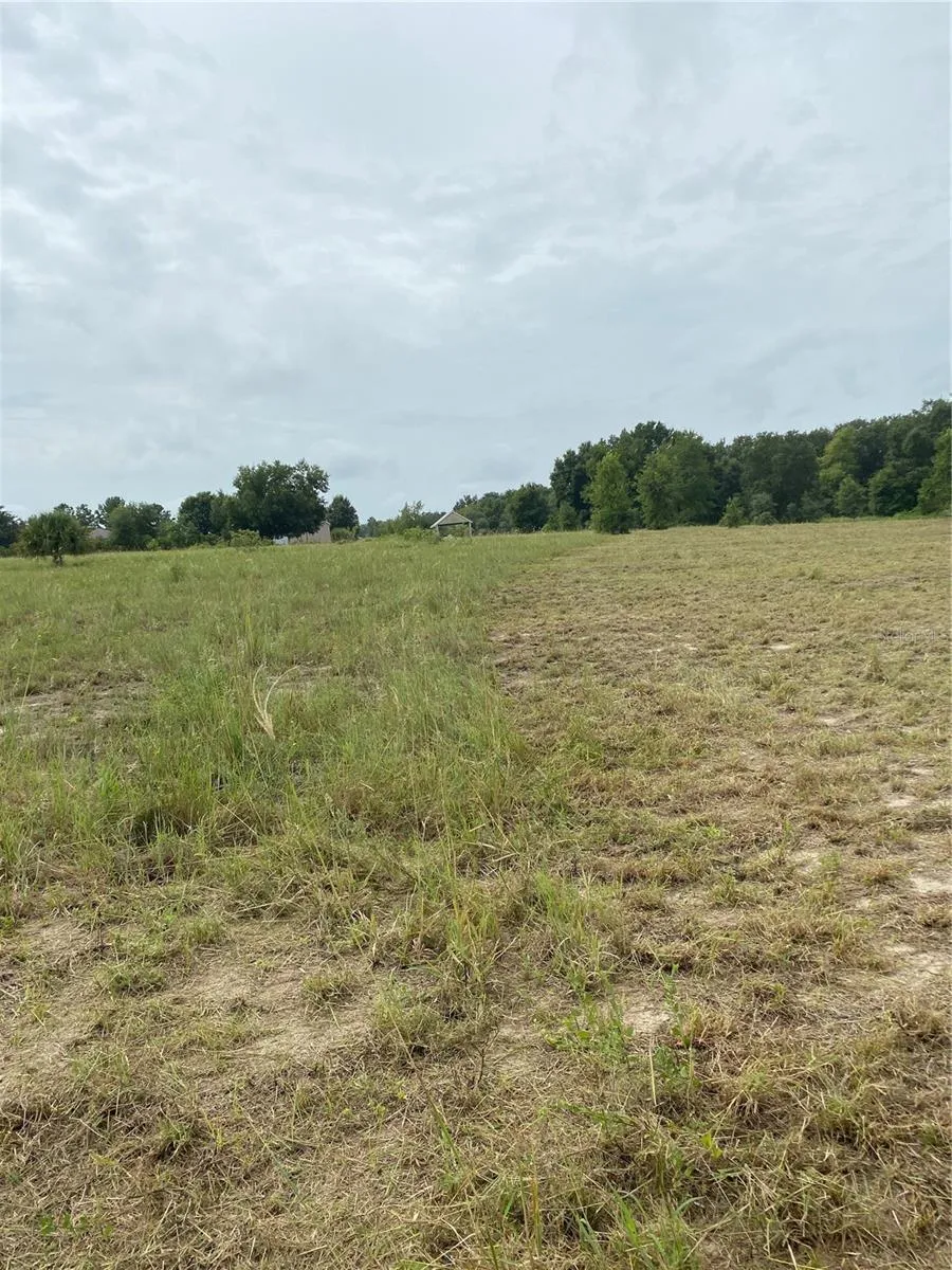 SOUTH O 'BRIEN ROAD Groveland, FL 34736