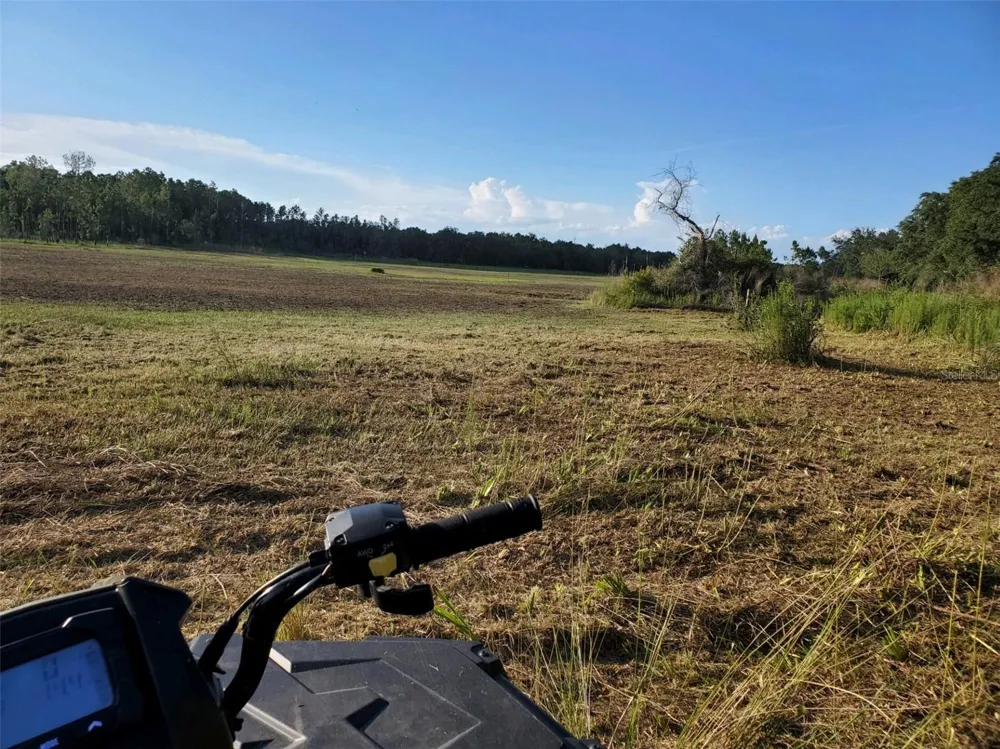 SOUTH O 'BRIEN ROAD Groveland, FL 34736