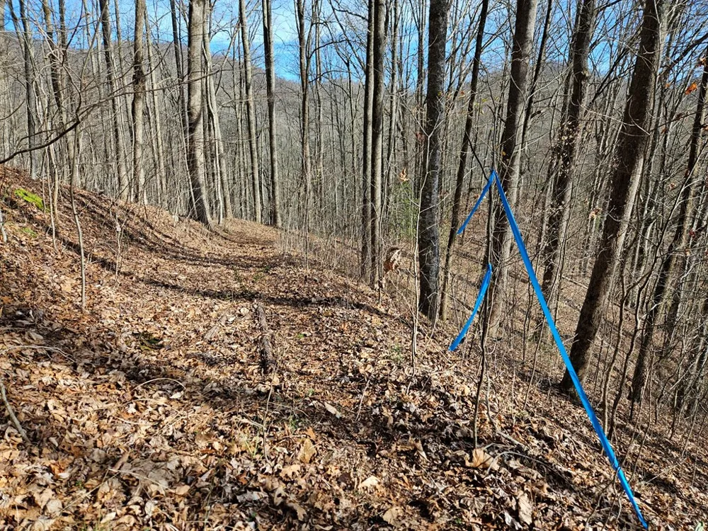 Si Knob Cullowhee, NC 28723