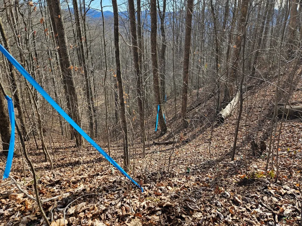 Si Knob Cullowhee, NC 28723