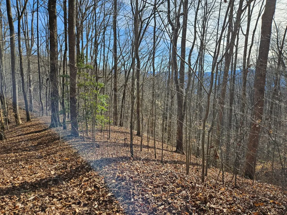 Si Knob Cullowhee, NC 28723