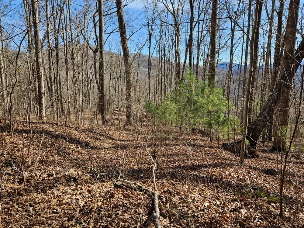 Si Knob Cullowhee, NC 28723