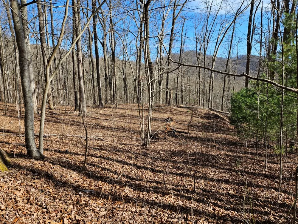 Si Knob Cullowhee, NC 28723