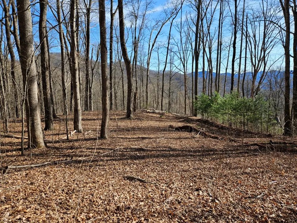 Si Knob Cullowhee, NC 28723