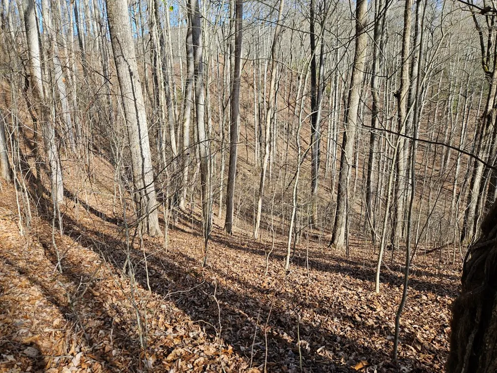 Si Knob Cullowhee, NC 28723