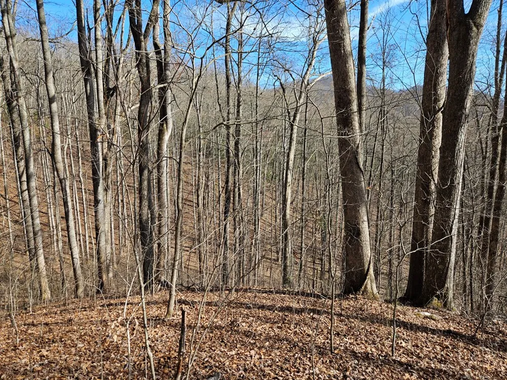 Si Knob Cullowhee, NC 28723