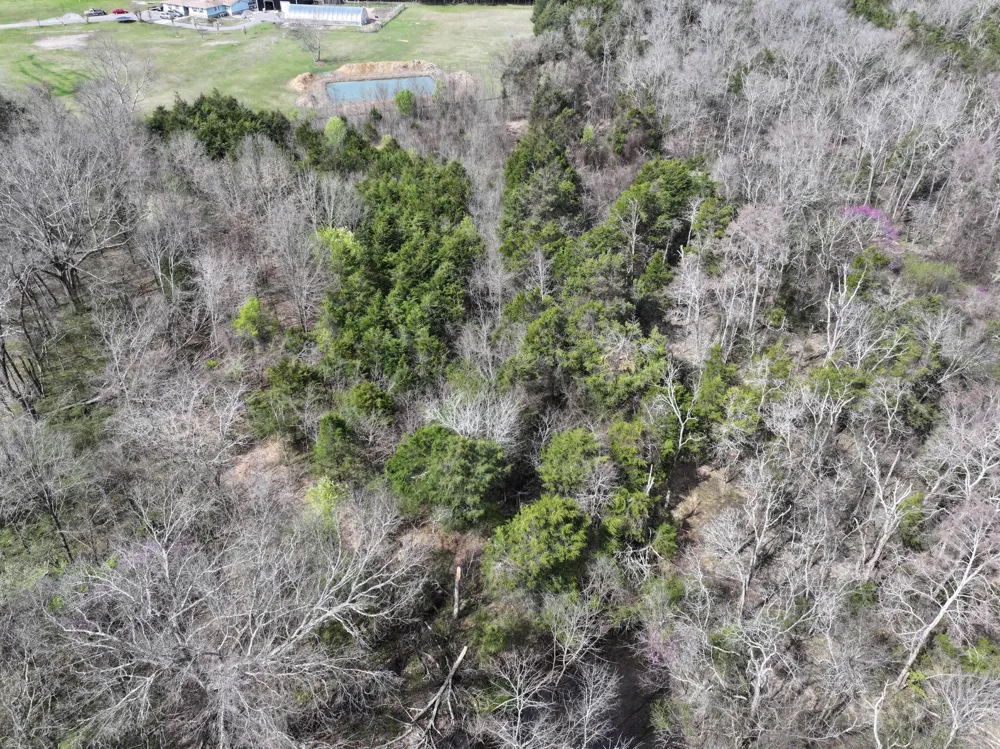 0 Webb Road Murfreesboro, TN 37128
