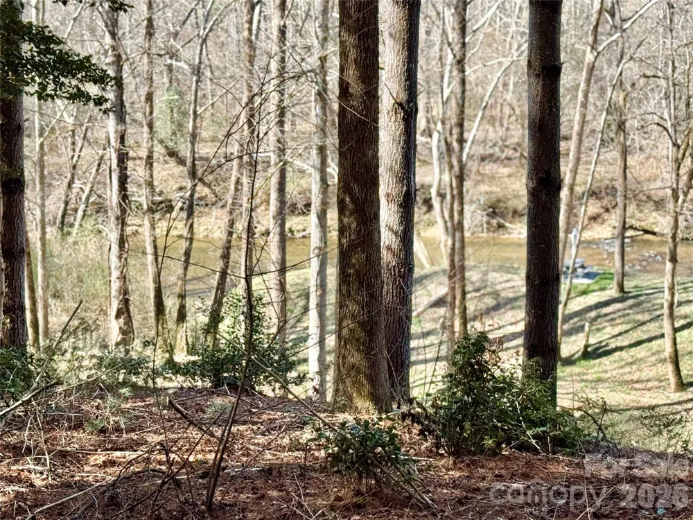 6129 Painted Ridge Trail #Lot 739 Lenoir, NC 28645