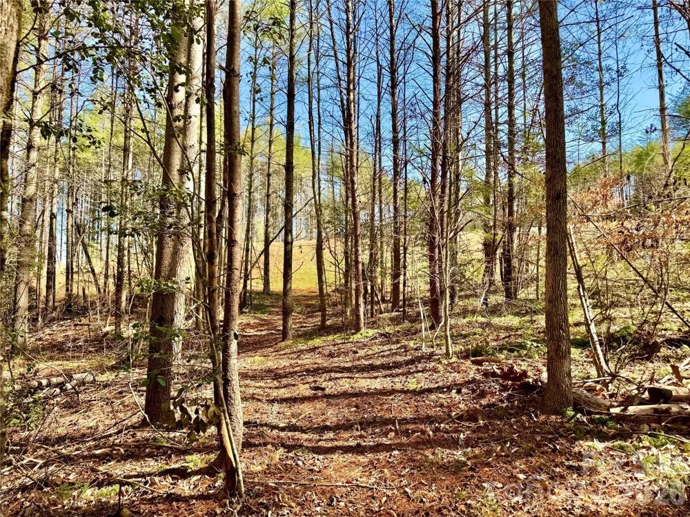 6129 Painted Ridge Trail #Lot 739 Lenoir, NC 28645