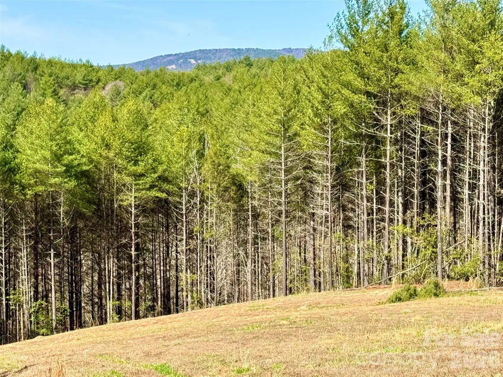 6129 Painted Ridge Trail #Lot 739 Lenoir, NC 28645