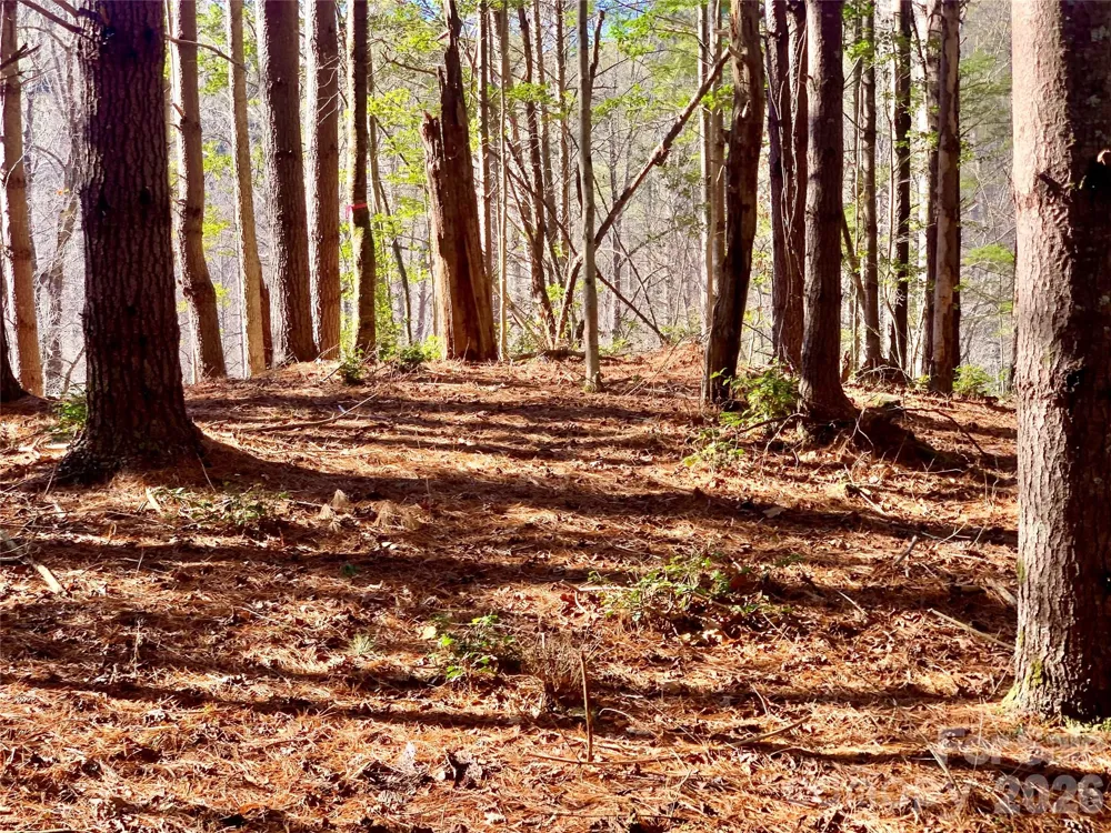 6129 Painted Ridge Trail #Lot 739 Lenoir, NC 28645