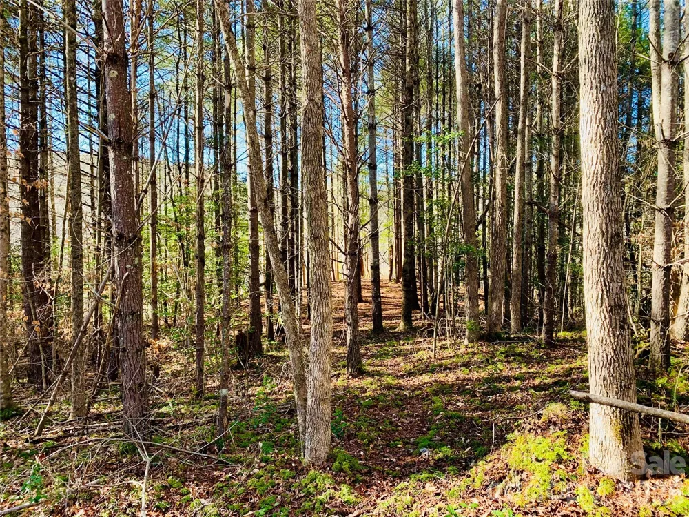 6129 Painted Ridge Trail #Lot 739 Lenoir, NC 28645