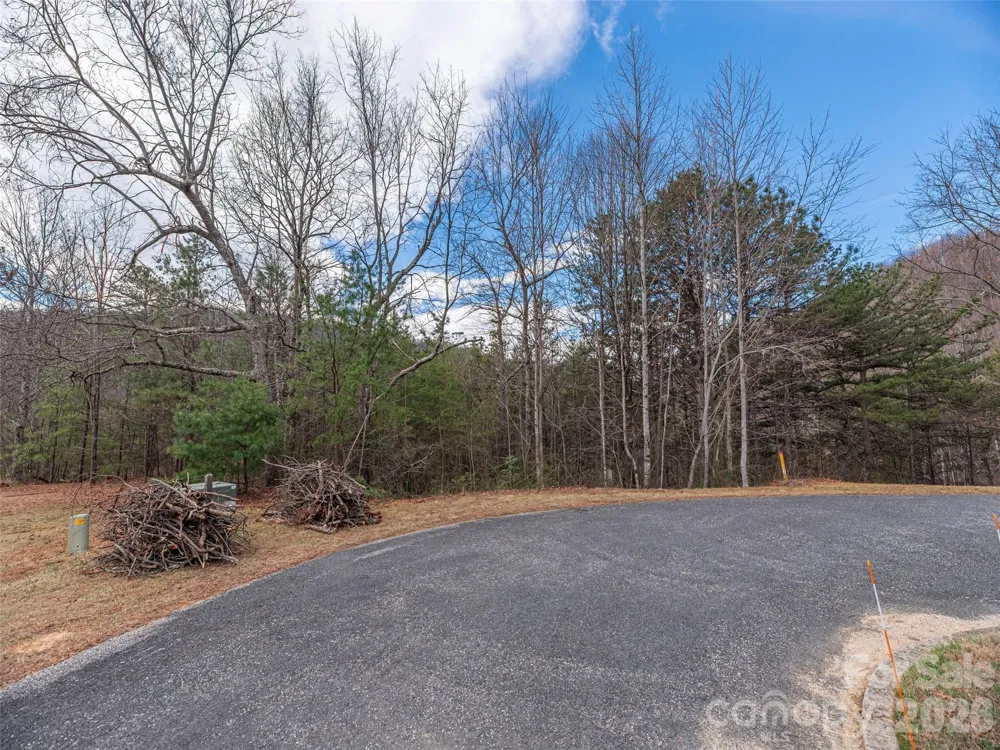 102 Trillium Lane ##C-3 Black Mountain, NC 28711