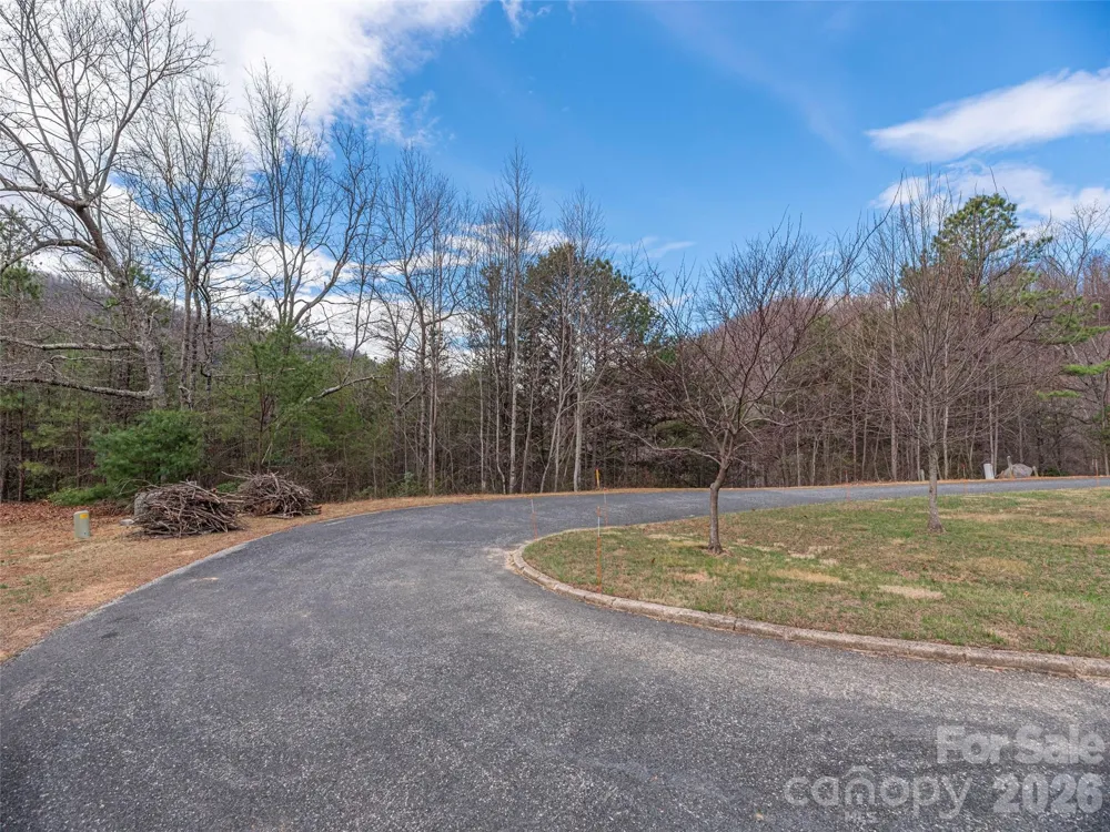 102 Trillium Lane ##C-3 Black Mountain, NC 28711