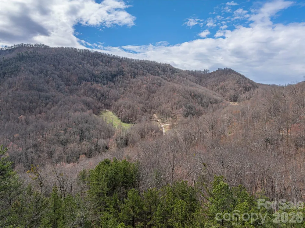 102 Trillium Lane ##C-3 Black Mountain, NC 28711