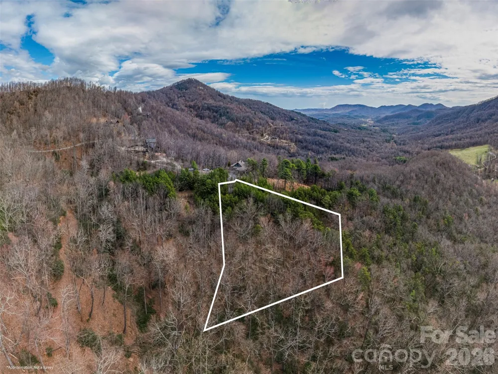 102 Trillium Lane ##C-3 Black Mountain, NC 28711