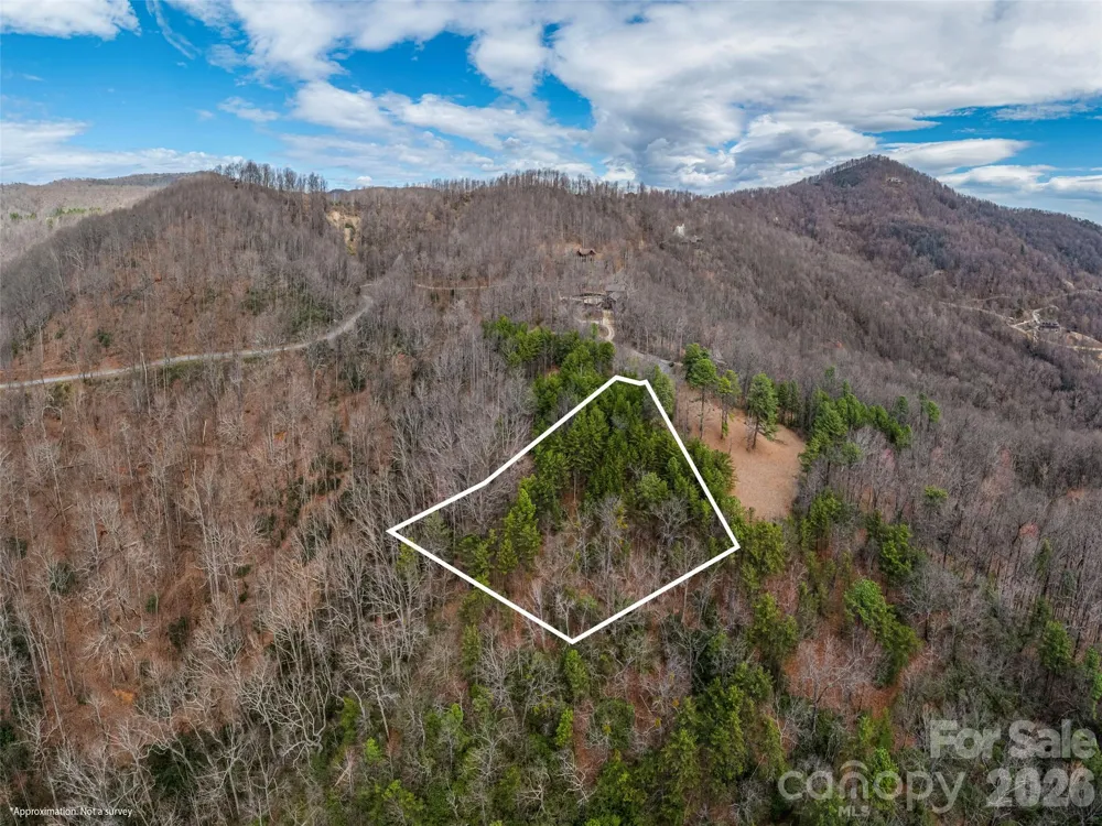 102 Trillium Lane ##C-3 Black Mountain, NC 28711