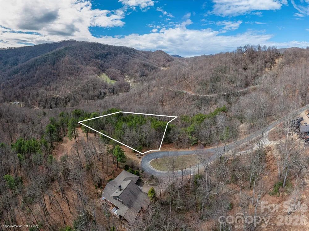 102 Trillium Lane ##C-3 Black Mountain, NC 28711