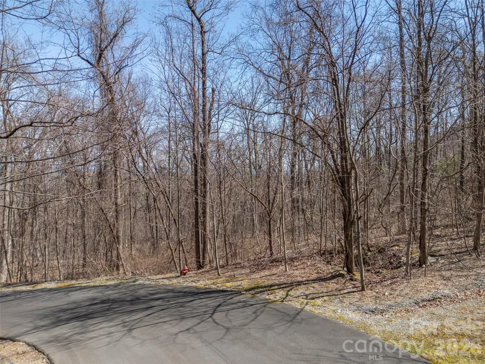 Lot 2130 Weaverly Lane Mill Spring, NC 28756