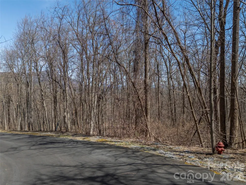 Lot 2130 Weaverly Lane Mill Spring, NC 28756
