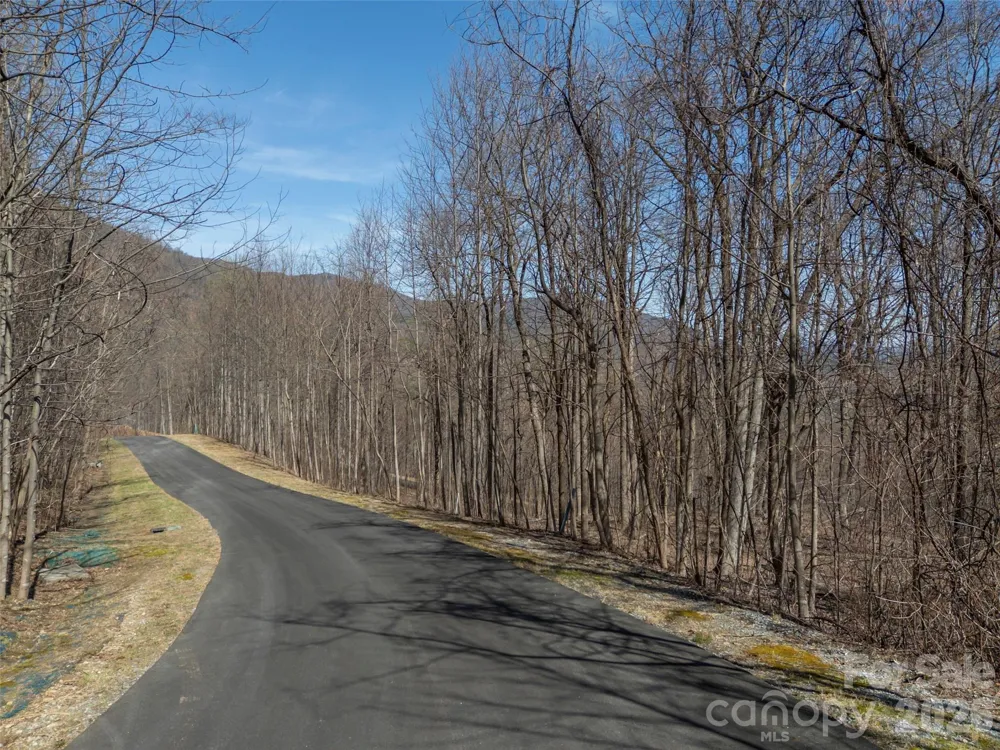 Lot 2130 Weaverly Lane Mill Spring, NC 28756