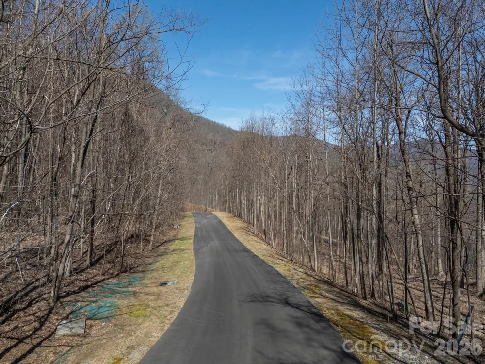 Lot 2130 Weaverly Lane Mill Spring, NC 28756