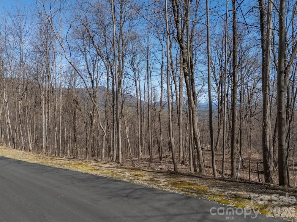 Lot 2130 Weaverly Lane Mill Spring, NC 28756