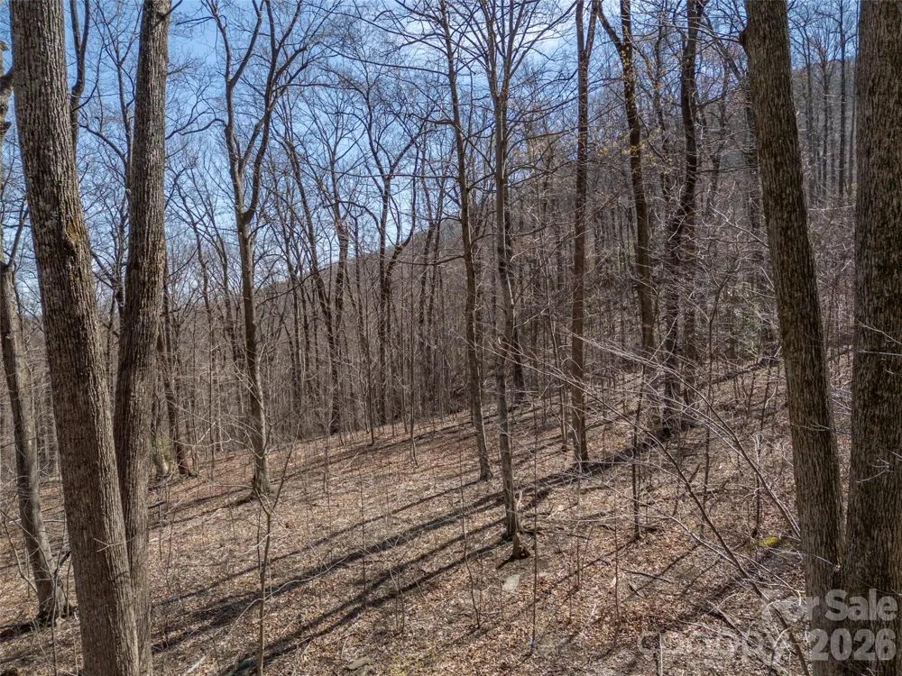 Lot 2130 Weaverly Lane Mill Spring, NC 28756