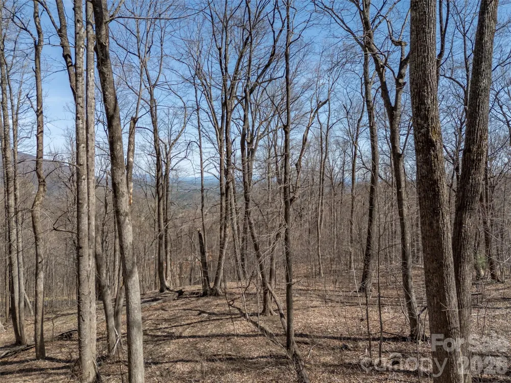 Lot 2130 Weaverly Lane Mill Spring, NC 28756