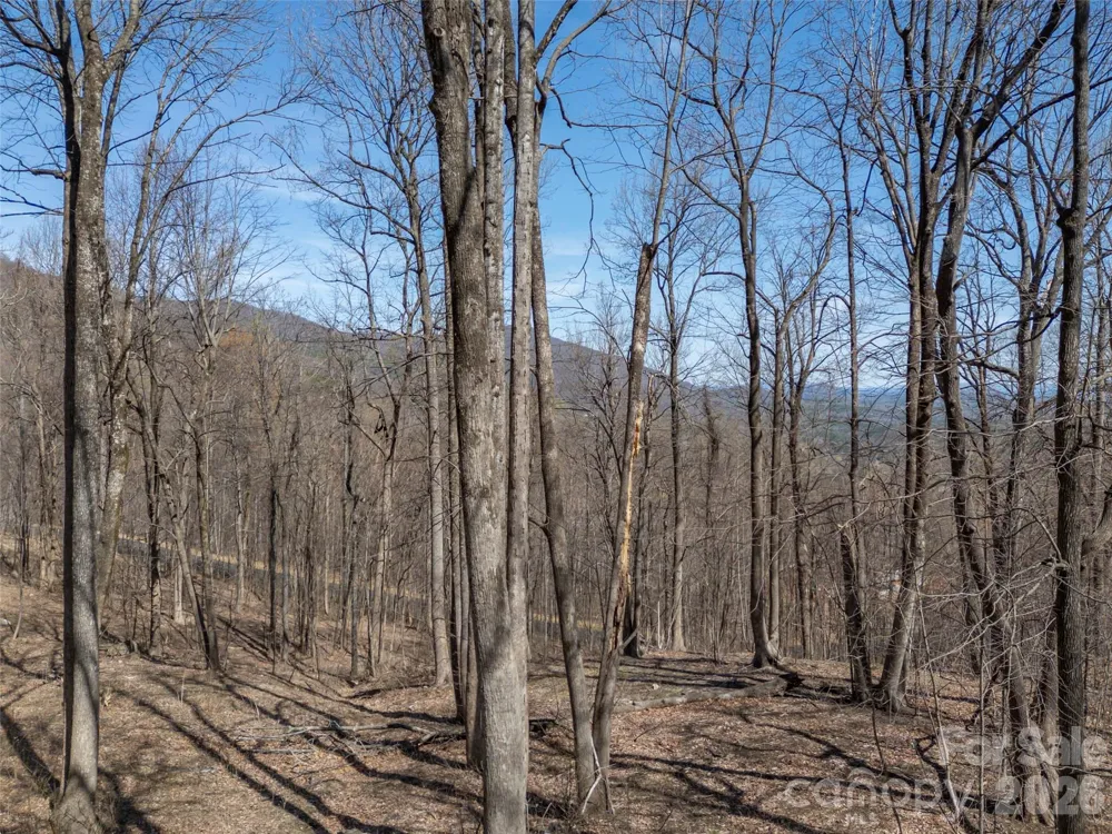 Lot 2130 Weaverly Lane Mill Spring, NC 28756