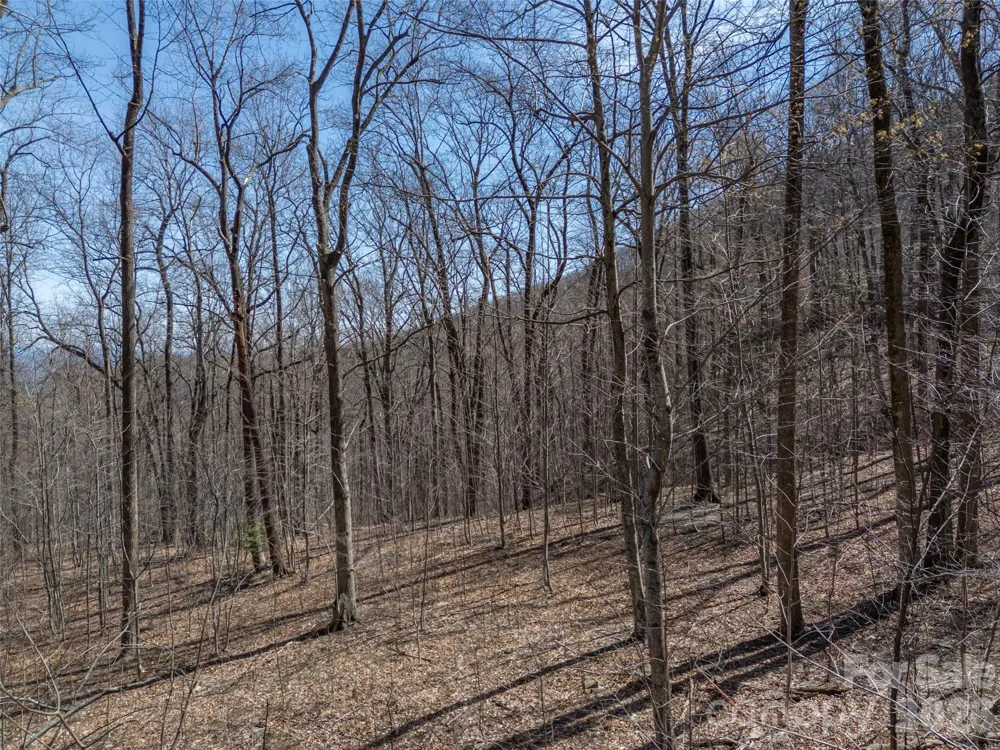 Lot 2130 Weaverly Lane Mill Spring, NC 28756