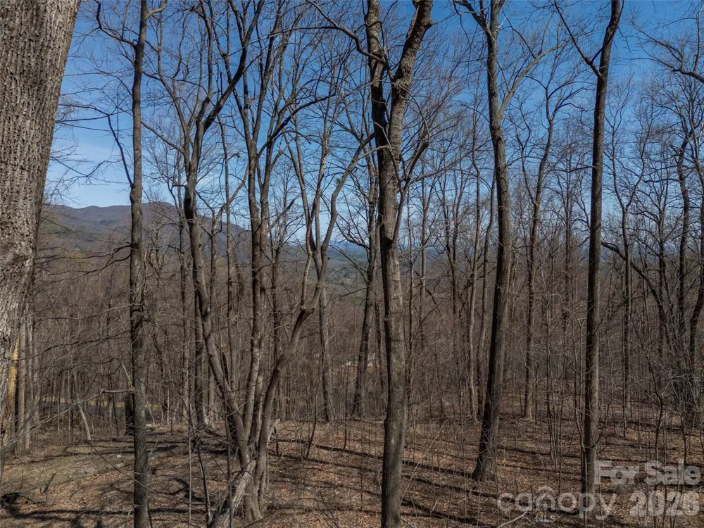Lot 2130 Weaverly Lane Mill Spring, NC 28756