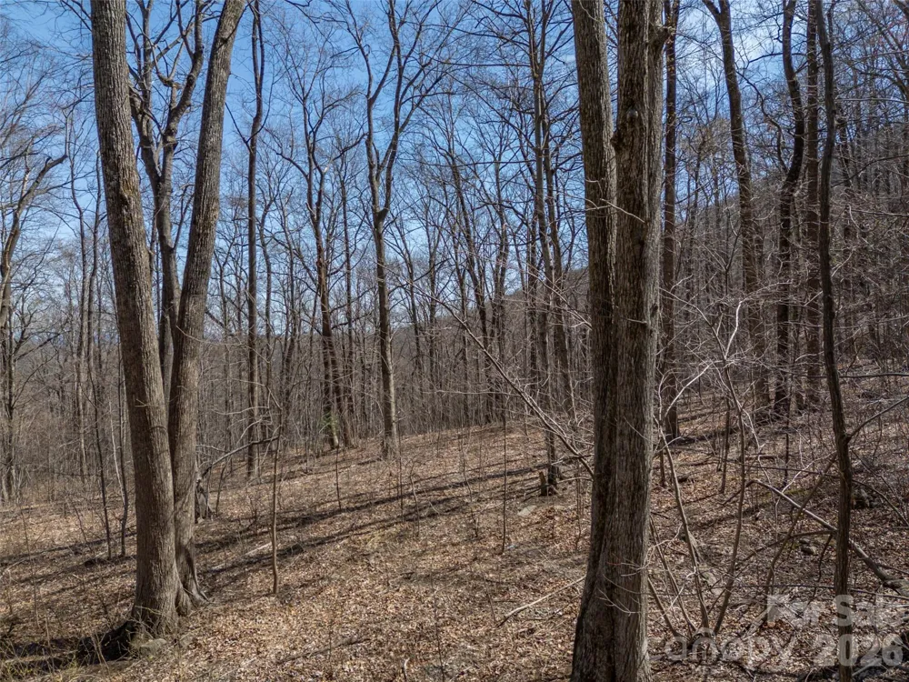 Lot 2130 Weaverly Lane Mill Spring, NC 28756