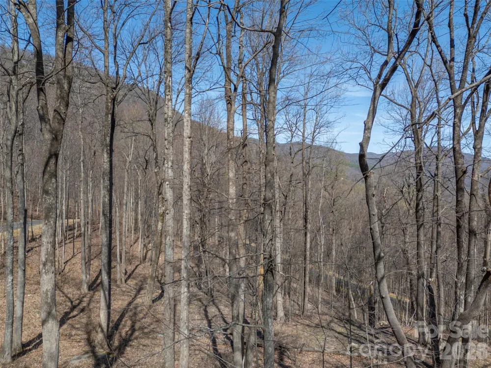 Lot 2130 Weaverly Lane Mill Spring, NC 28756