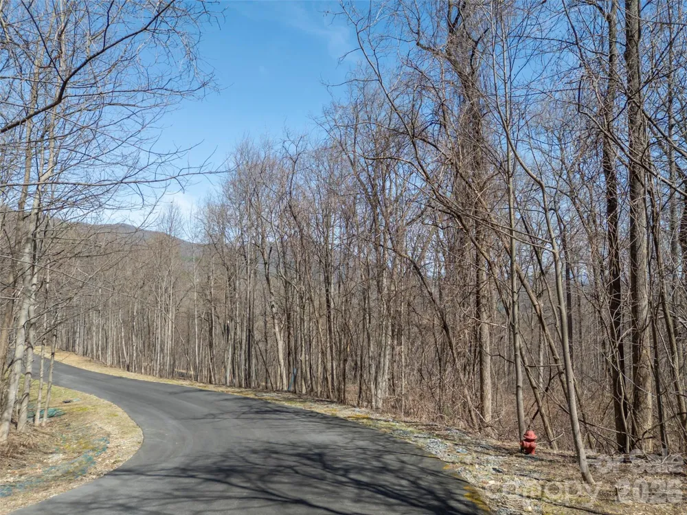 Lot 2130 Weaverly Lane Mill Spring, NC 28756