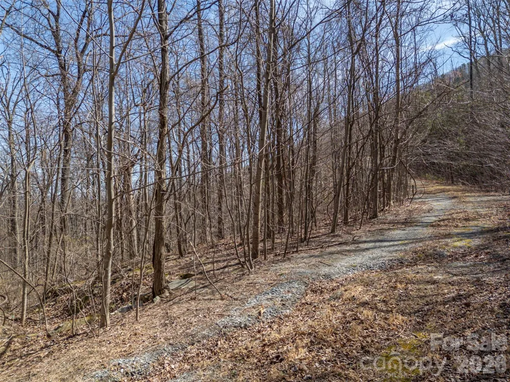 Lot 2130 Weaverly Lane Mill Spring, NC 28756