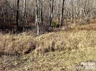 108 Lanning Road Clyde, NC 28721