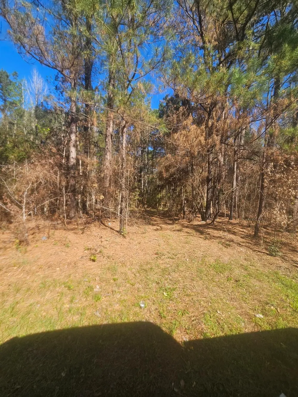 8543 State Highway 87 Newton, TX 75966