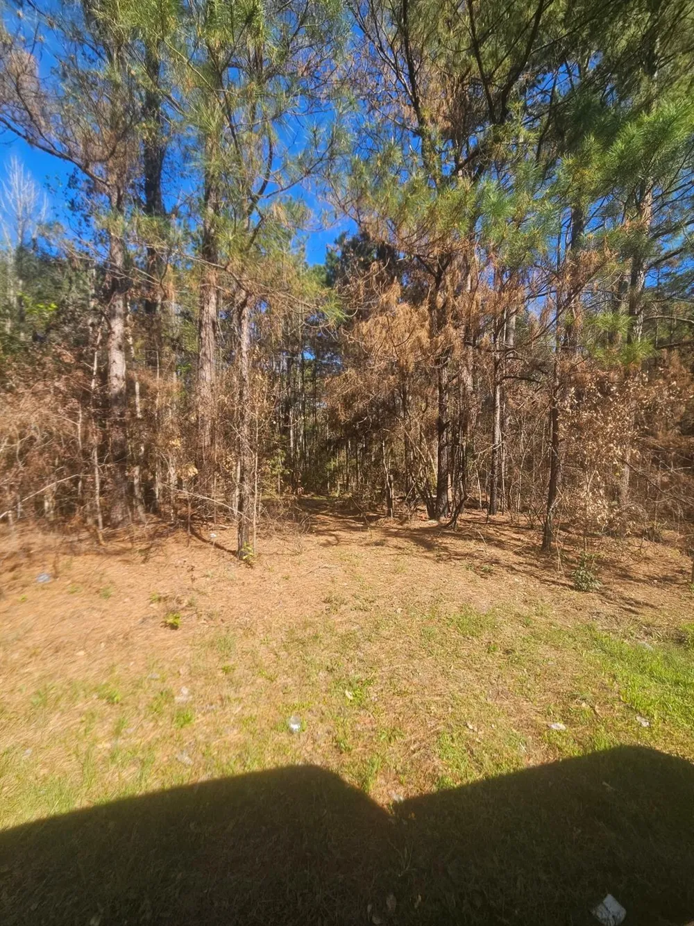 8543 State Highway 87 Newton, TX 75966