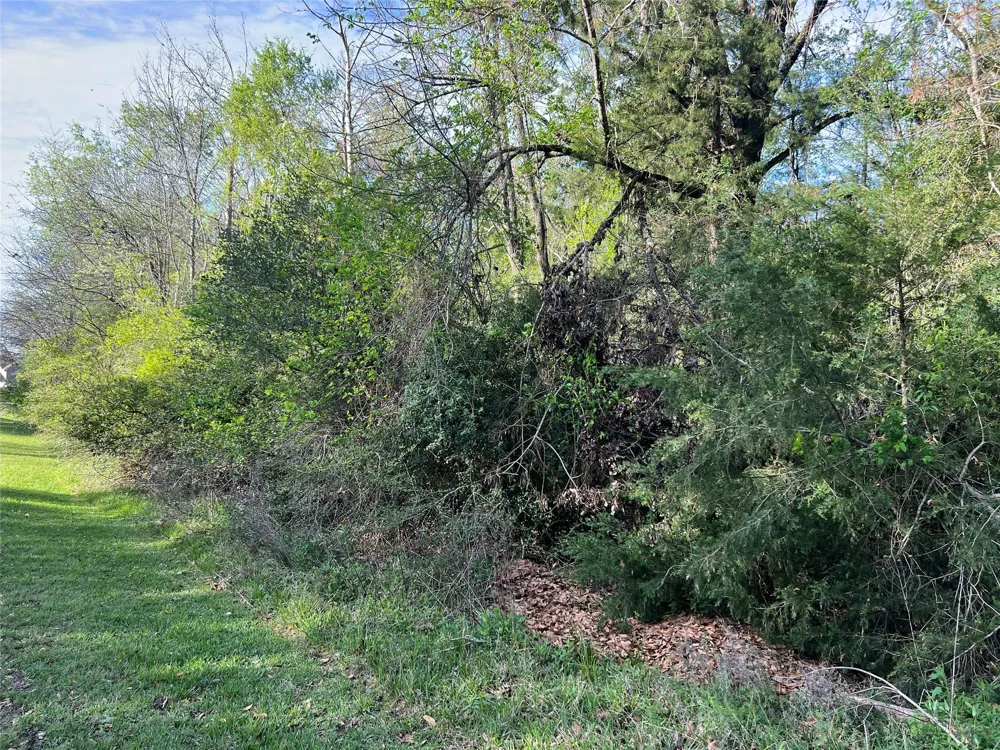 Idlewild Drive Onalaska, TX 77360